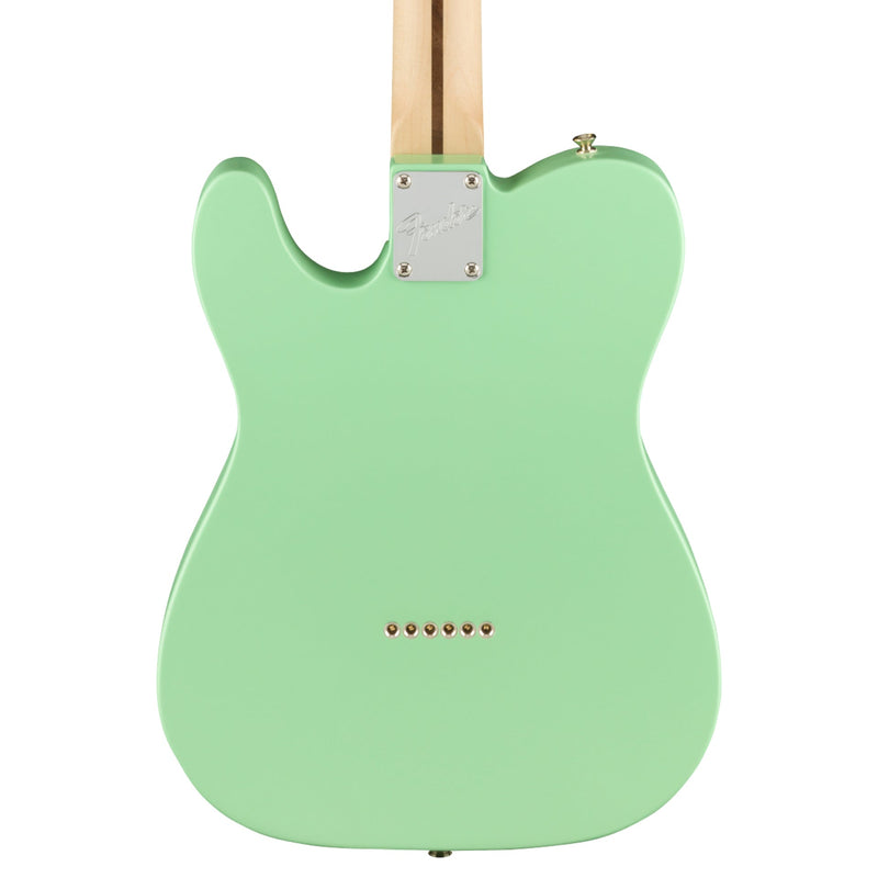 Fender American Performer Telecaster Hum - Rosewood