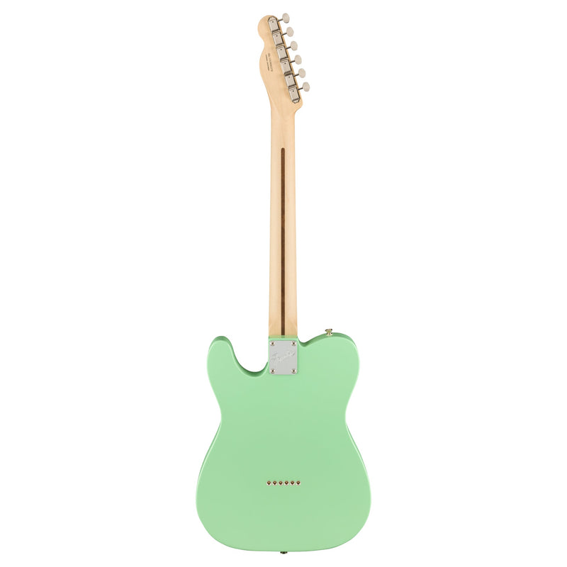 Fender American Performer Telecaster Hum - Rosewood