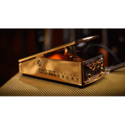 Ernie Ball Ambient Delay - Tarpley Music Company, Inc.