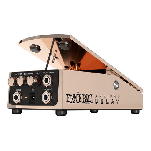 Ernie Ball Ambient Delay - Tarpley Music Company, Inc.