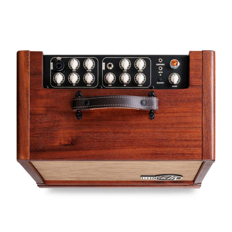 Taylor Circa 74 AV150-10 Acoustic Guitar Amp with Stand