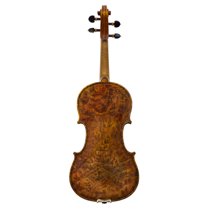 Lone Star Strings LS5300VN Lily (Violin)