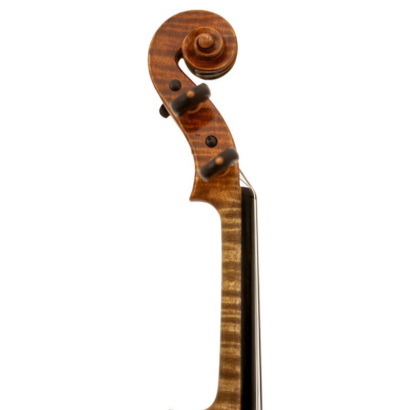 Lone Star Strings LS7600VN Longspur (Violin)
