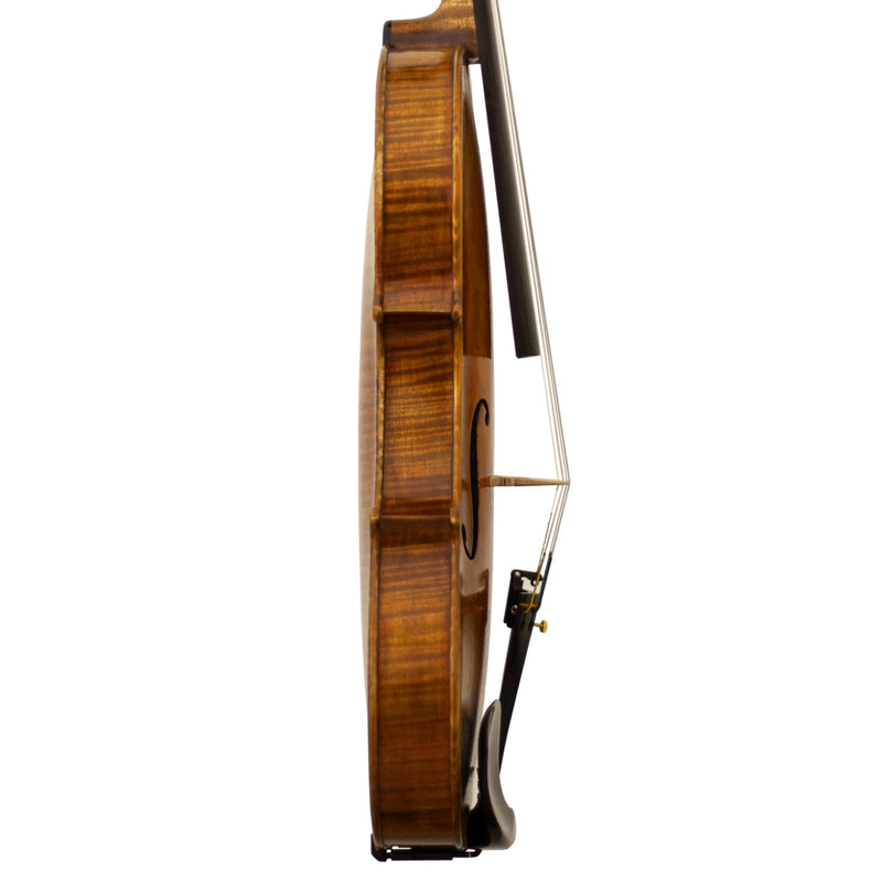Lone Star Strings LS7600VN Longspur (Violin)