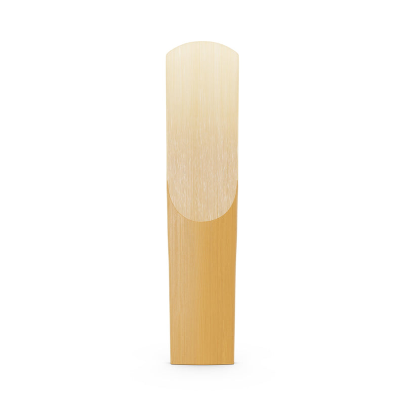 Daddario ORRS10ASX3S Organic Select Jazz Unfiled Alto Sax Reeds, Strength 3 Soft, 10-Pack