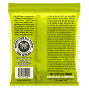 Ernie Ball Regular Slinky Nickel Wound Electric Guitar Strings - Tarpley Music Company, Inc.