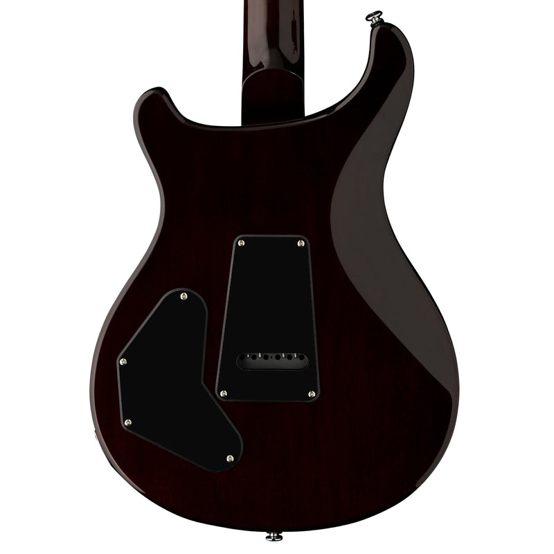Paul Reed Smith SE DGT (David Grissom Trem) - Birds (2023)