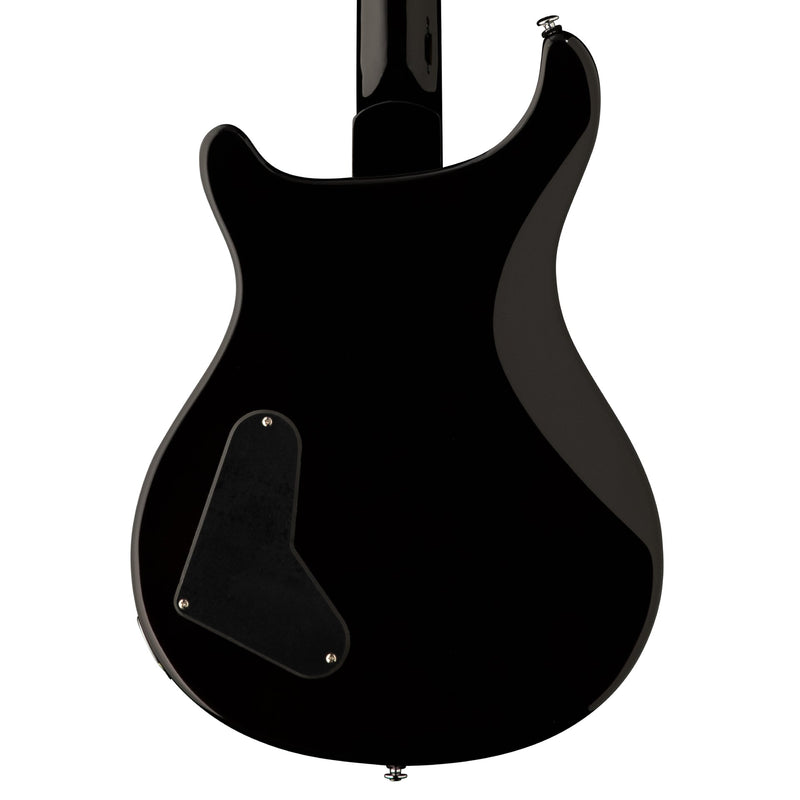 Paul Reed Smith SE Paul's Guitar
