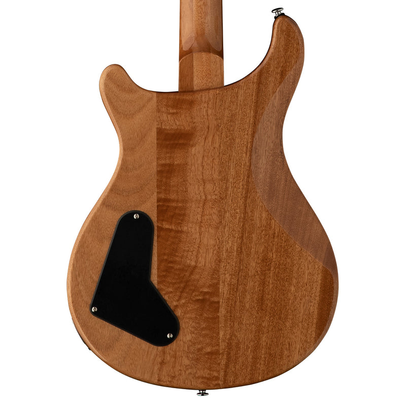 Paul Reed Smith SE Paul's Guitar