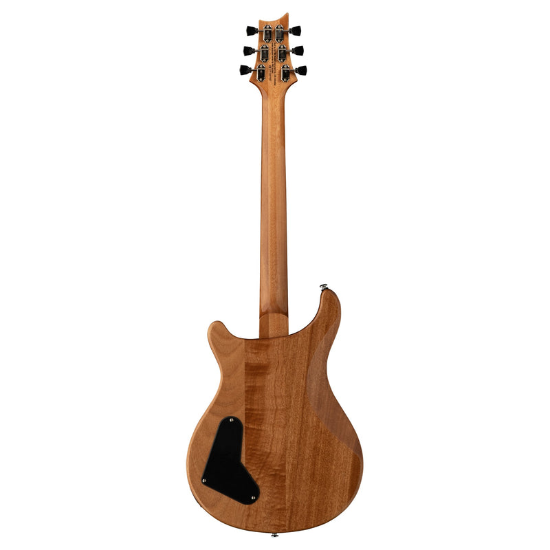 Paul Reed Smith SE Paul's Guitar