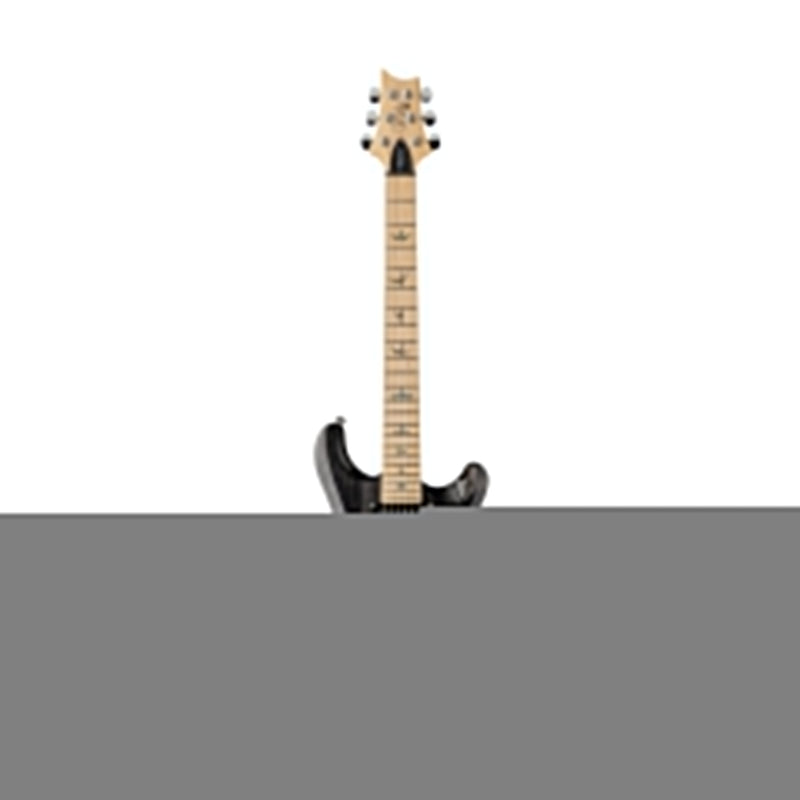 PRS SE Swamp Ash Special Electric Guitar