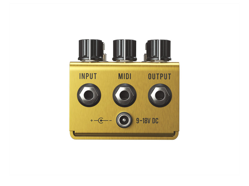 Jackson Audio Golden Boy Transparent Overdrive