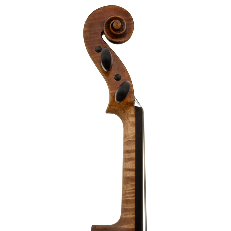 Lone Star Strings LS8100VN Zexmenia (Violin)