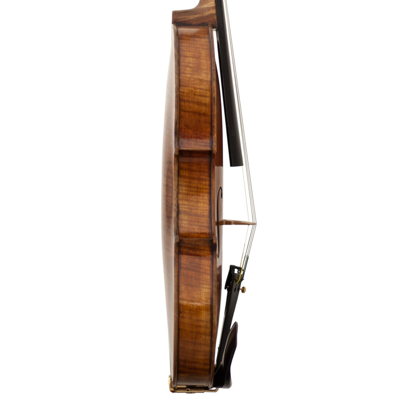 Lone Star Strings LS8100VN Zexmenia (Violin)