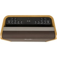 Fender Acoustic Pro Amp - 2271100000